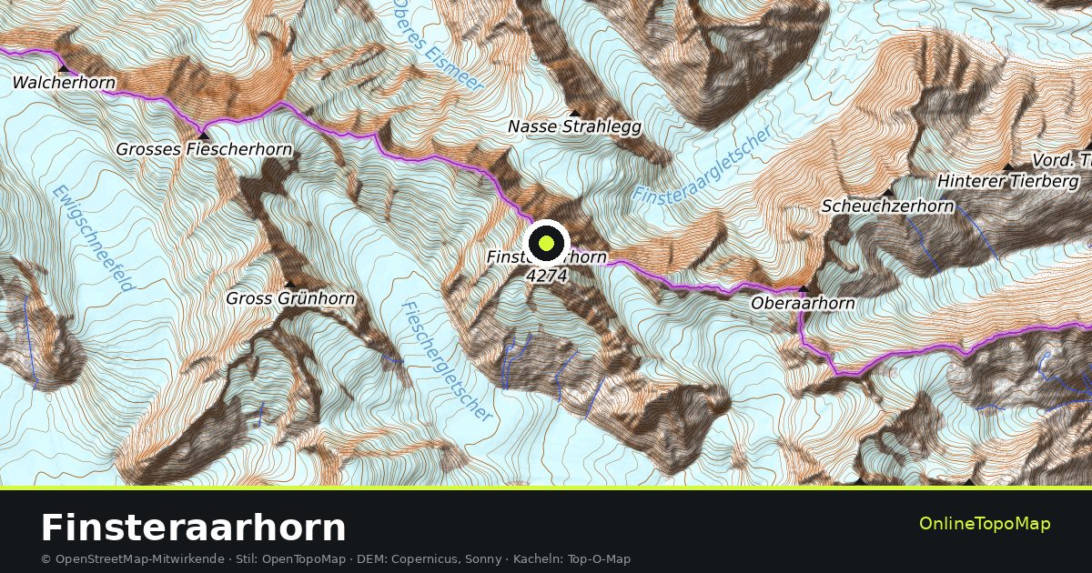 Topographische Karte von Finsteraarhorn mit Höhenlinien und Geländeschattierung