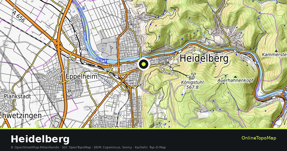 Topographische Karte von Heidelberg mit Höhenlinien und Geländeschattierung