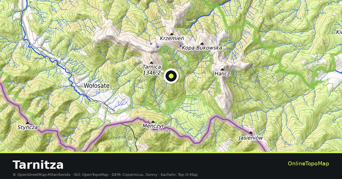 Topographische Karte von Tarnitza mit Höhenlinien und Geländeschattierung