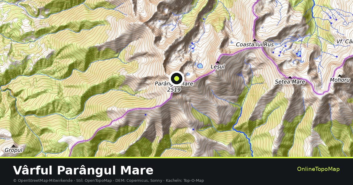 Topographische Karte von Vârful Parângul Mare mit Höhenlinien und Geländeschattierung